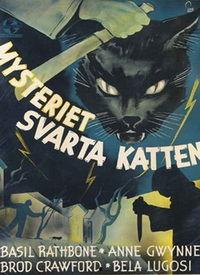 国产黑猫古风电影在线观看,国产黑猫古风电影在线观影指南