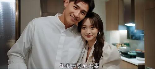 妻子复仇爽剧国产律师在线观看,妻子逆袭，国产律师剧在线观看